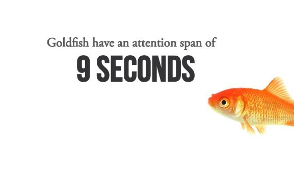 Attention spin. Goldfish Memory. Эндрю Голдфиш. Goldfish Memory meaning.